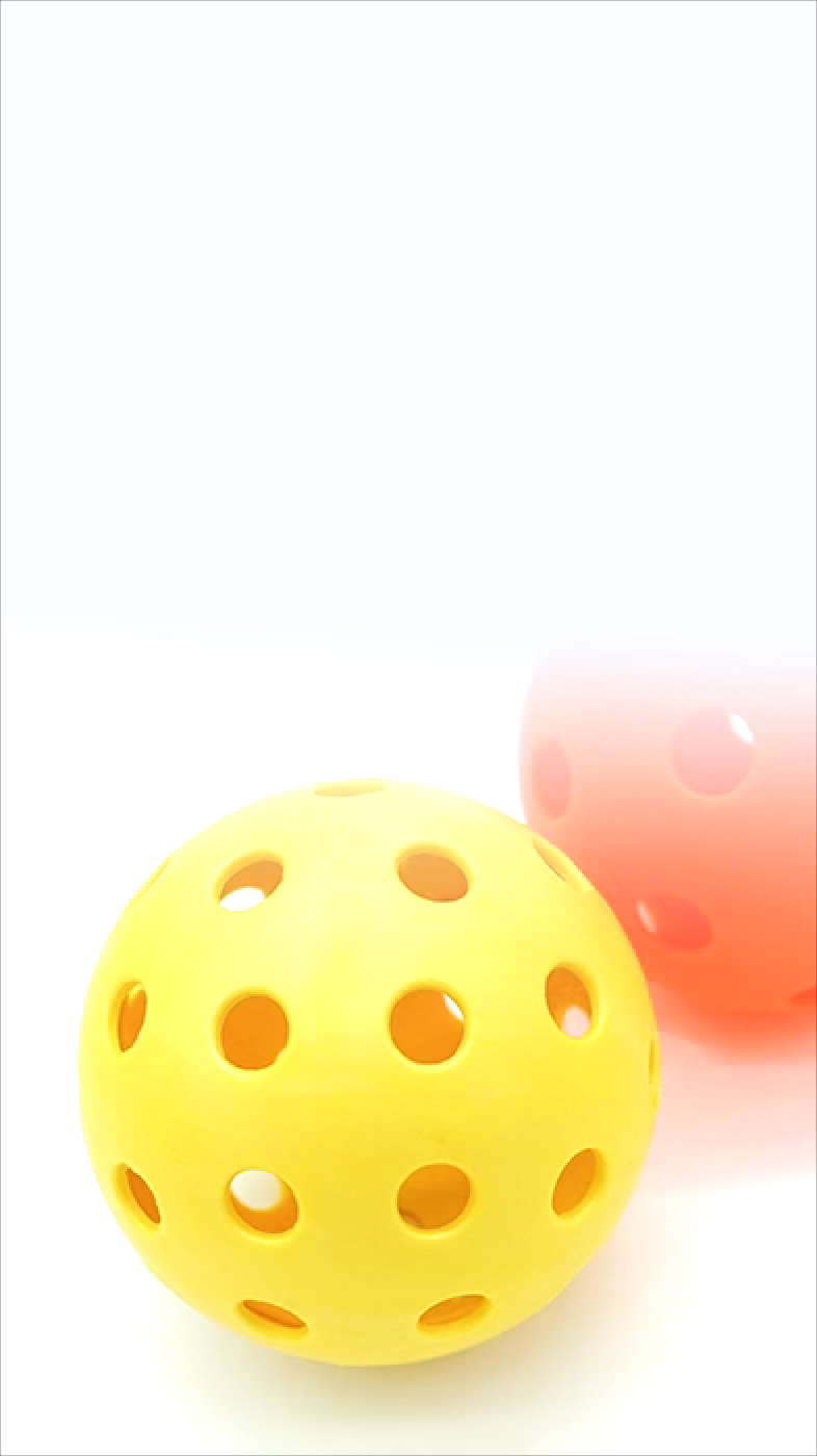 Memeda US Biodegradable Pet Ball